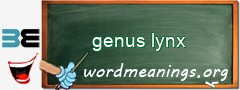 WordMeaning blackboard for genus lynx